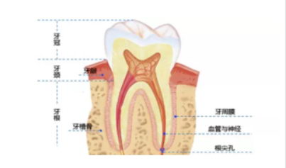 άǻҽԺͯݻô۸ ͯݽ