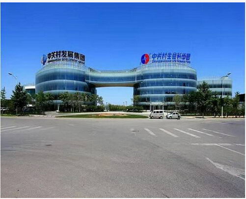 丹蒙恩尽嗨“大爱无疆关爱生命的源头”